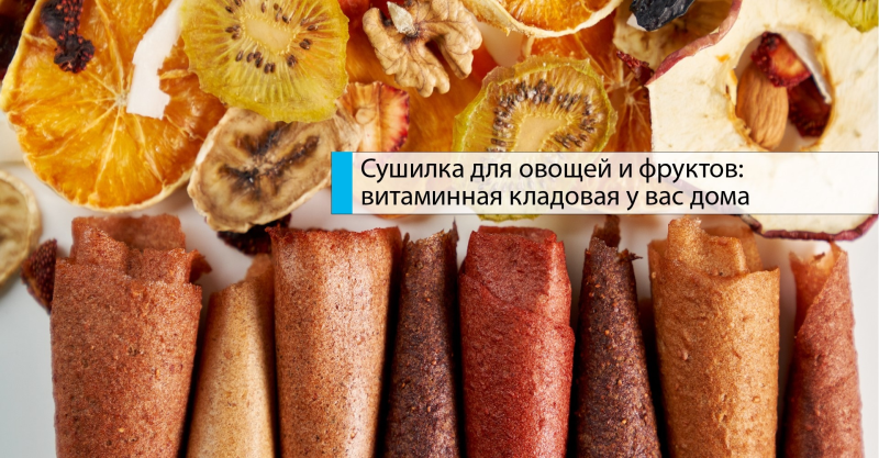 Сушилка для овощей и фруктов: витаминная кладовая у вас дома
